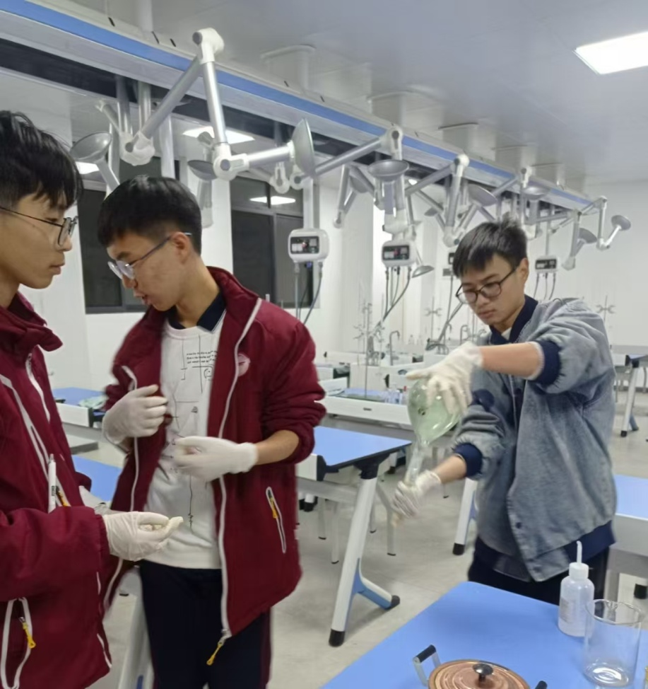 地理与化学交叉拓展性实验：探究土壤中金属成份含量.png