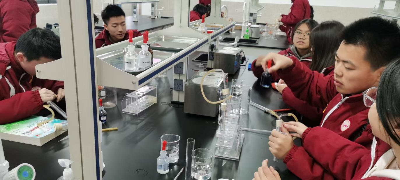 生物探究性实验:探究环境因素对光合作用的影响.png