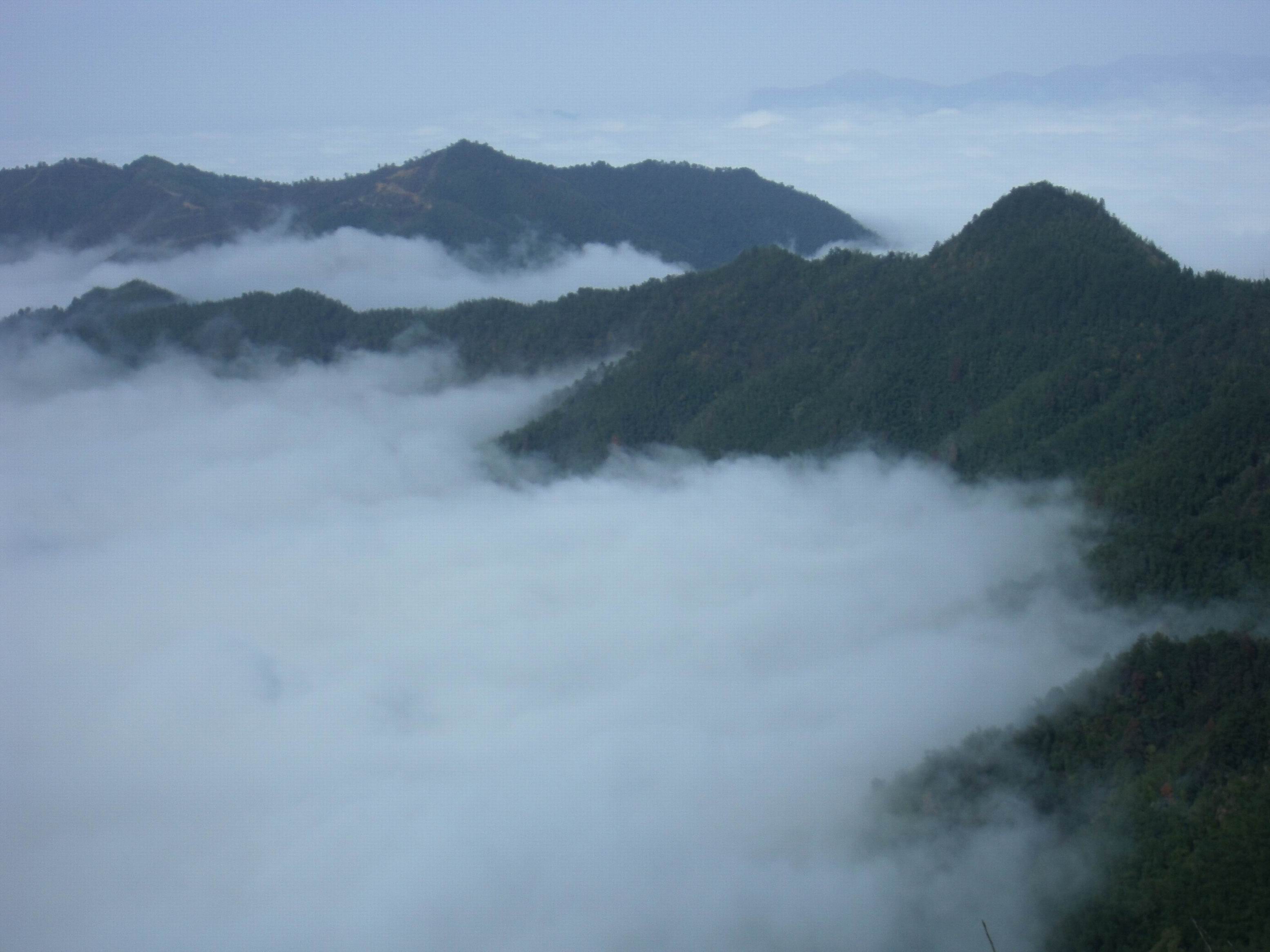  海尽天做岸，山绝我为峰。