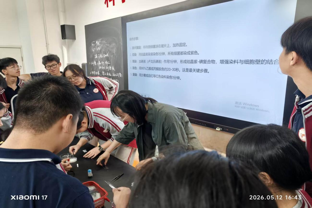 图片8.png 图片8.png